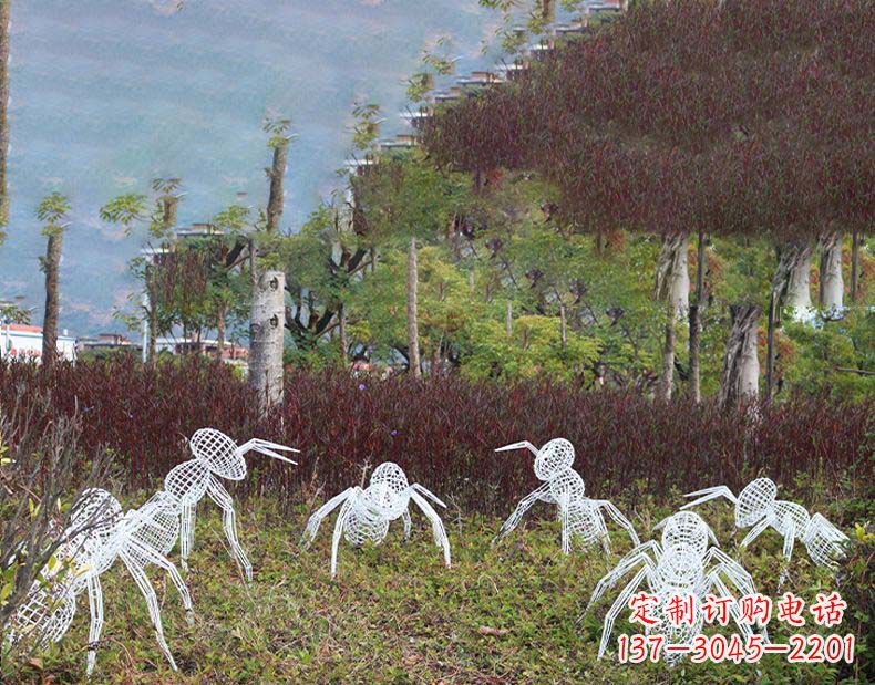 石狮不锈钢蚂蚁镂空雕塑艺术与自然的完美结合