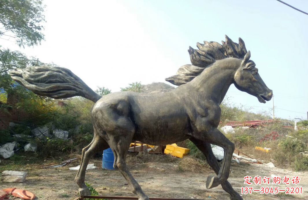 石狮独特的动物雕塑
