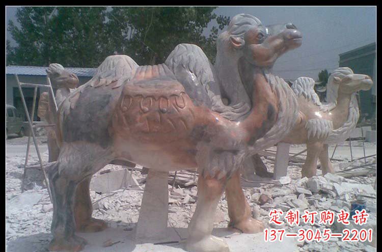 石狮公园动物骆驼石雕222