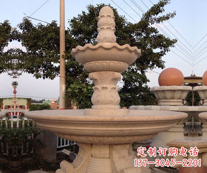 石狮小区景观大型喷泉石雕 (4)