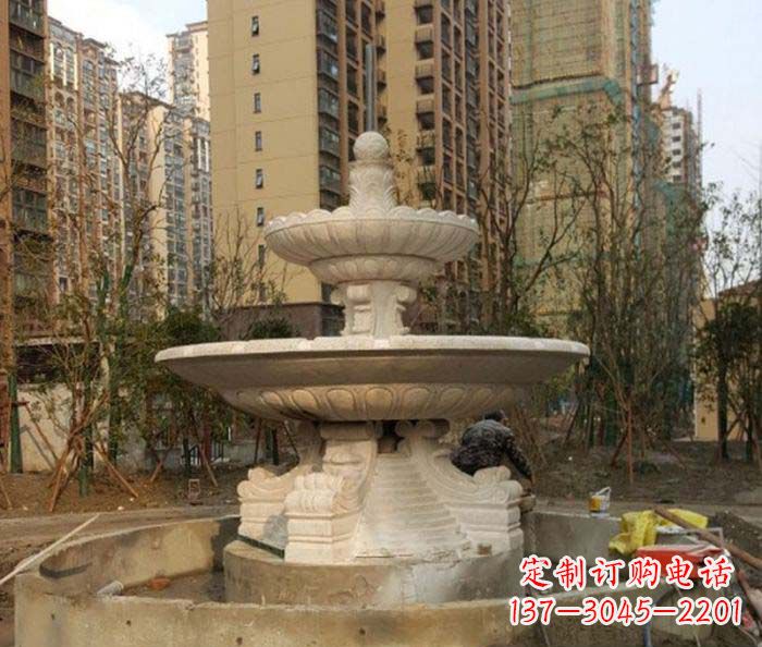 石狮小区景观大型喷泉石雕 (3)