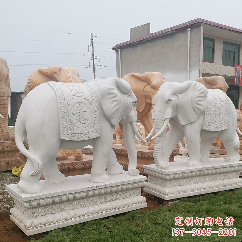 石狮学校石雕大象